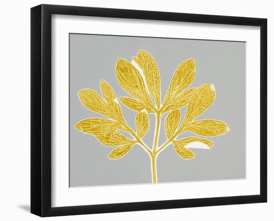 Horizontal Plants 6-Mary Margaret Briggs-Framed Giclee Print