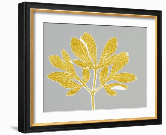 Horizontal Plants 6-Mary Margaret Briggs-Framed Giclee Print