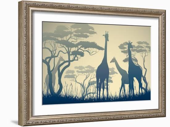 Horizontal Vector Illustration of Wild Giraffes in African Savanna with Trees.-Vertyr-Framed Art Print