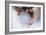 Hormone Replacement Therapy Pills-Cristina-Framed Photographic Print