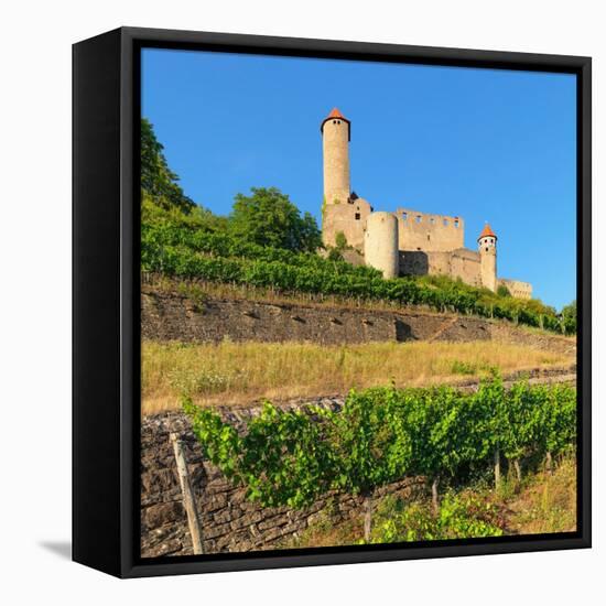 Hornberg Castle, Neckarzimmern, Neckartal Valley, Odenwald, Burgenstrasse, Baden-Wurttemberg-Markus Lange-Framed Premier Image Canvas