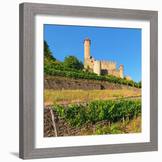 Hornberg Castle, Neckarzimmern, Neckartal Valley, Odenwald, Burgenstrasse, Baden-Wurttemberg-Markus Lange-Framed Photographic Print