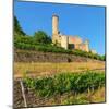 Hornberg Castle, Neckarzimmern, Neckartal Valley, Odenwald, Burgenstrasse, Baden-Wurttemberg-Markus Lange-Mounted Photographic Print