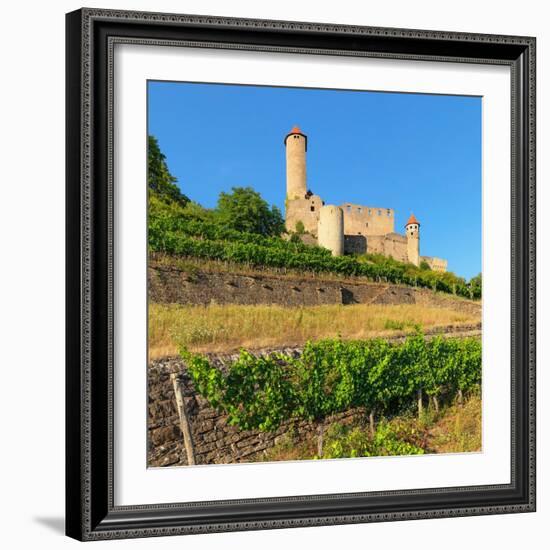 Hornberg Castle, Neckarzimmern, Neckartal Valley, Odenwald, Burgenstrasse, Baden-Wurttemberg-Markus Lange-Framed Photographic Print