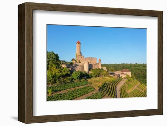 Hornberg Castle, Neckarzimmern, Neckartal Valley, Odenwald, Burgenstrasse, Baden-Wurttemberg-Markus Lange-Framed Photographic Print