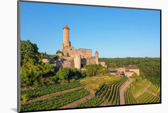 Hornberg Castle, Neckarzimmern, Neckartal Valley, Odenwald, Burgenstrasse, Baden-Wurttemberg-Markus Lange-Mounted Photographic Print