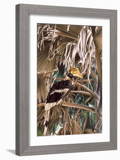 Hornbill, 1987-Sandra Lawrence-Framed Giclee Print