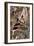 Hornbill, 1987-Sandra Lawrence-Framed Giclee Print