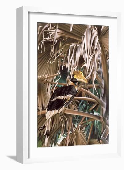 Hornbill, 1987-Sandra Lawrence-Framed Giclee Print