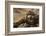 Horned adder (Bitis caudalis) close up of eye, Brandberg area, Namibia-Emanuele Biggi-Framed Photographic Print