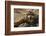 Horned adder (Bitis caudalis) close up of eye, Brandberg area, Namibia-Emanuele Biggi-Framed Photographic Print