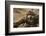 Horned adder (Bitis caudalis) close up of eye, Brandberg area, Namibia-Emanuele Biggi-Framed Photographic Print