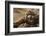 Horned adder (Bitis caudalis) close up of eye, Brandberg area, Namibia-Emanuele Biggi-Framed Photographic Print