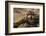 Horned adder (Bitis caudalis) close up of eye, Brandberg area, Namibia-Emanuele Biggi-Framed Photographic Print