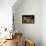 Horned adder (Bitis caudalis) waiting for passing prey in the Namib Desert, Brandberg, Namibia-Emanuele Biggi-Framed Premier Image Canvas displayed on a wall