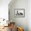 Horned Grebe-John James Audubon-Framed Art Print displayed on a wall
