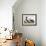 Horned Grebe-John James Audubon-Framed Art Print displayed on a wall