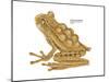 Horned Marsupial Frog (Gastrotheca Cornuta), Amphibians-Encyclopaedia Britannica-Mounted Art Print
