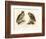 Horned Owl, 1864-null-Framed Giclee Print