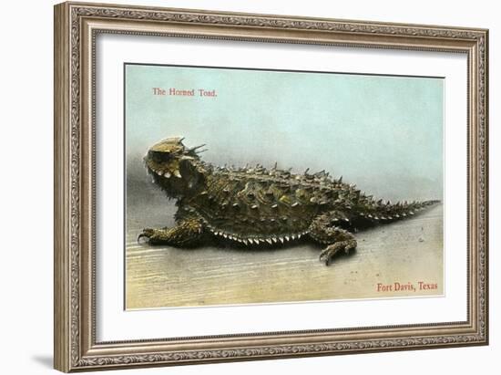 Horned Toad, Fort Davis-null-Framed Art Print