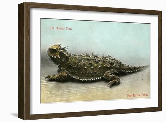 Horned Toad, Fort Davis-null-Framed Art Print