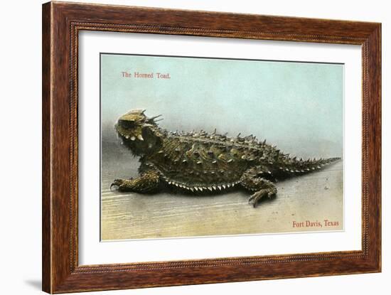 Horned Toad, Fort Davis-null-Framed Art Print