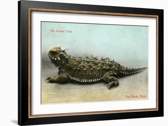 Horned Toad, Fort Davis-null-Framed Art Print