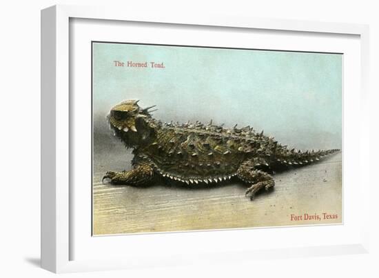 Horned Toad, Fort Davis-null-Framed Art Print
