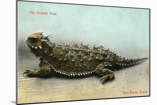 Horned Toad, Fort Davis-null-Mounted Art Print