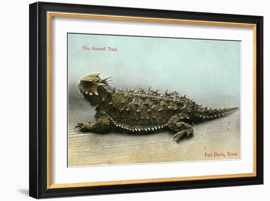 Horned Toad, Fort Davis-null-Framed Art Print