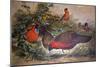 Horned Tragopan, 1861-Joseph Wolf-Mounted Giclee Print