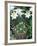 Horned Violet and Easter Lily-Adam Jones-Framed Photographic Print