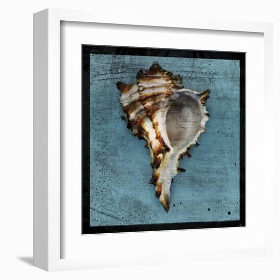 Horned Whelk-John Golden-Framed Art Print