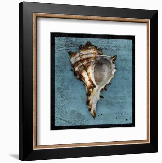 Horned Whelk-John W^ Golden-Framed Art Print