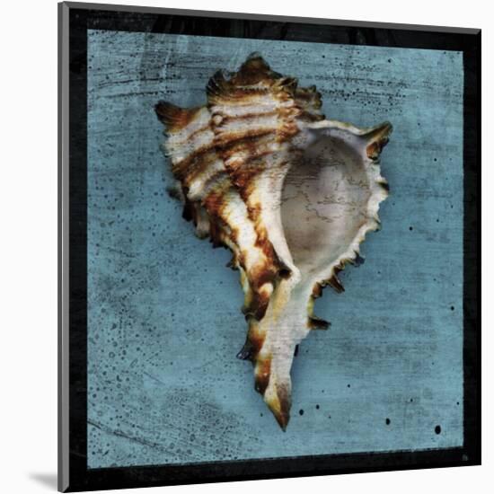 Horned Whelk-John W^ Golden-Mounted Art Print