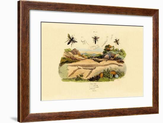 Hornet, 1833-39-null-Framed Giclee Print