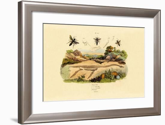 Hornet, 1833-39-null-Framed Giclee Print