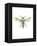 Hornet-Alexis Marcou-Framed Stretched Canvas