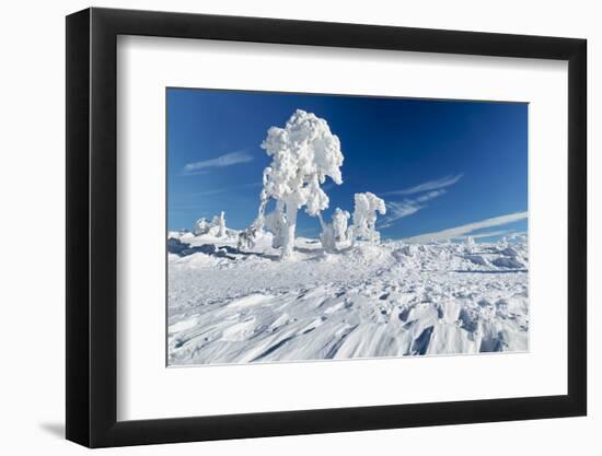 Hornisgrinde mountain in winter, Black Forest, Baden Wurttemberg, Germany, Europe-Markus Lange-Framed Photographic Print