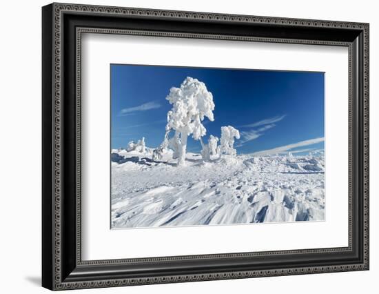 Hornisgrinde mountain in winter, Black Forest, Baden Wurttemberg, Germany, Europe-Markus Lange-Framed Photographic Print