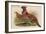 Horny Pheasant-John Gould-Framed Art Print