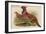Horny Pheasant-John Gould-Framed Art Print