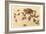 Horny Toad Family-null-Framed Premium Giclee Print