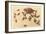 Horny Toad Family-null-Framed Premium Giclee Print