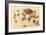 Horny Toad Family-null-Framed Premium Giclee Print