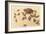 Horny Toad Family-null-Framed Premium Giclee Print