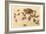 Horny Toad Family-null-Framed Art Print