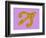 Horoscope: the Sign of the Sagittarius.-Patrizia La Porta-Framed Giclee Print