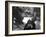 Horror Of Dracula, Christopher Lee, 1958-null-Framed Photo