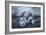 Horse 4-Moises Levy-Framed Photographic Print